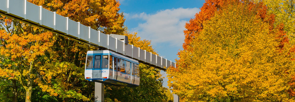 H-Bahn im Herbst H-Bahn und Bäume mit bunten Blättern im Herbst